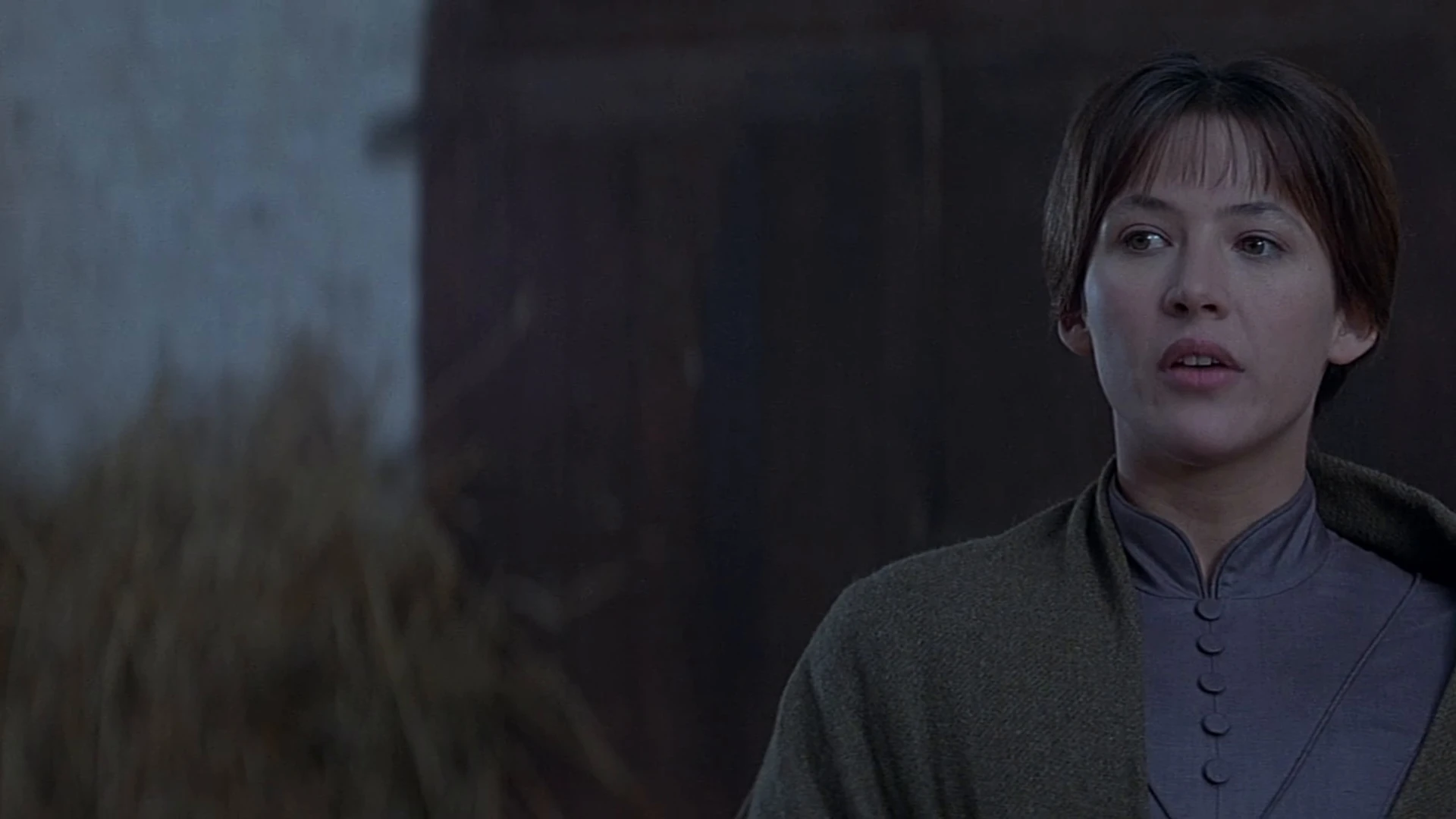 Phim Ánh Lửa - Firelight (1997)