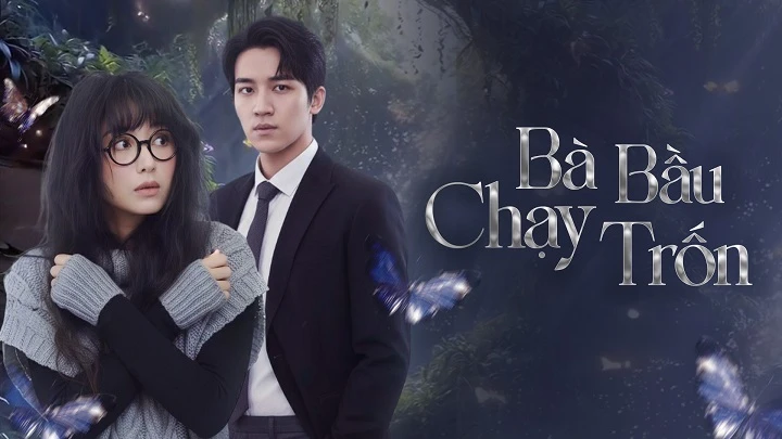 Phim Bà Bầu Chạy Trốn - Three Moms on the Run (2024)