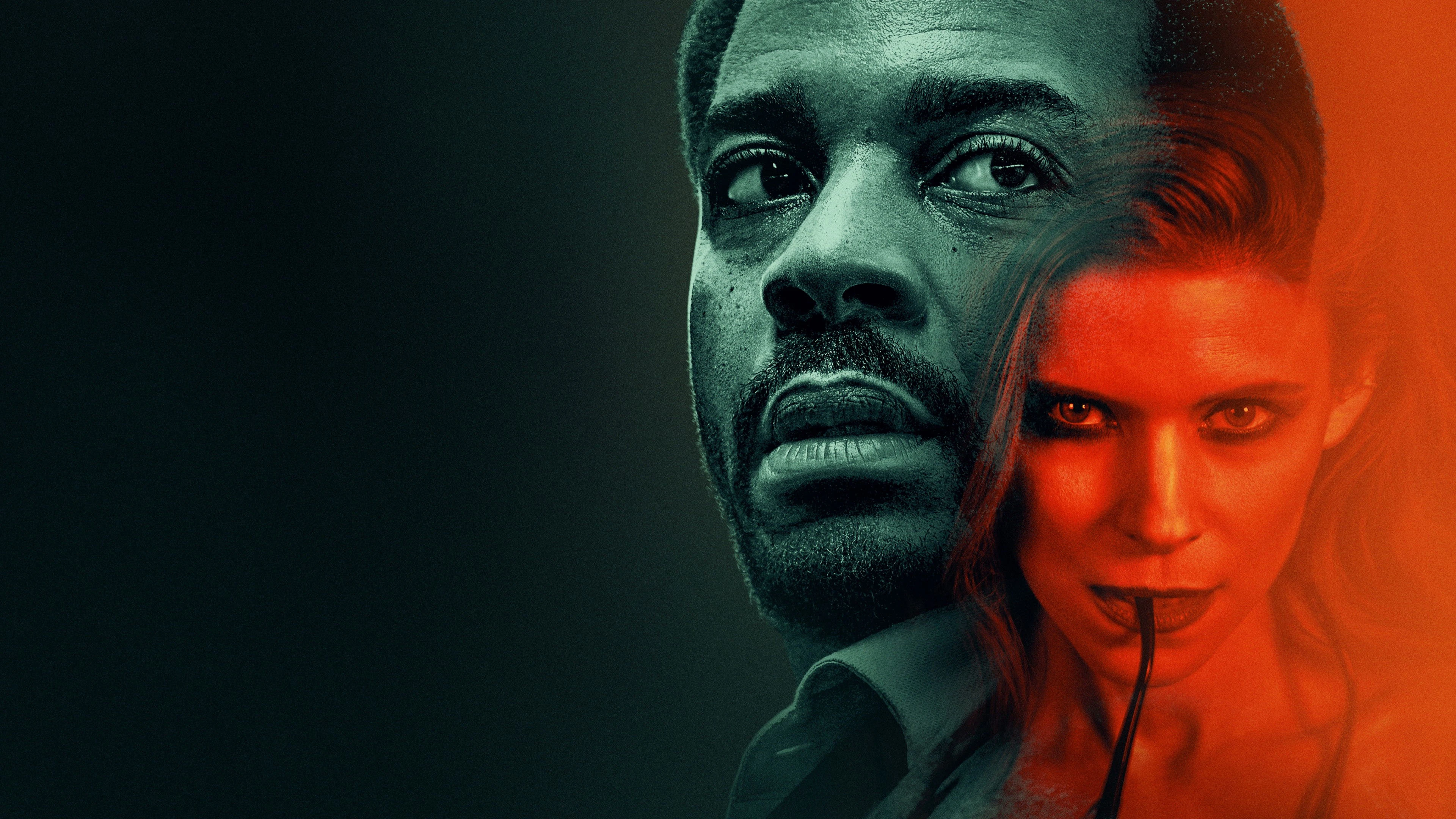 Phim Con Gà và Nắm Thóc - The Dutchman (2026)