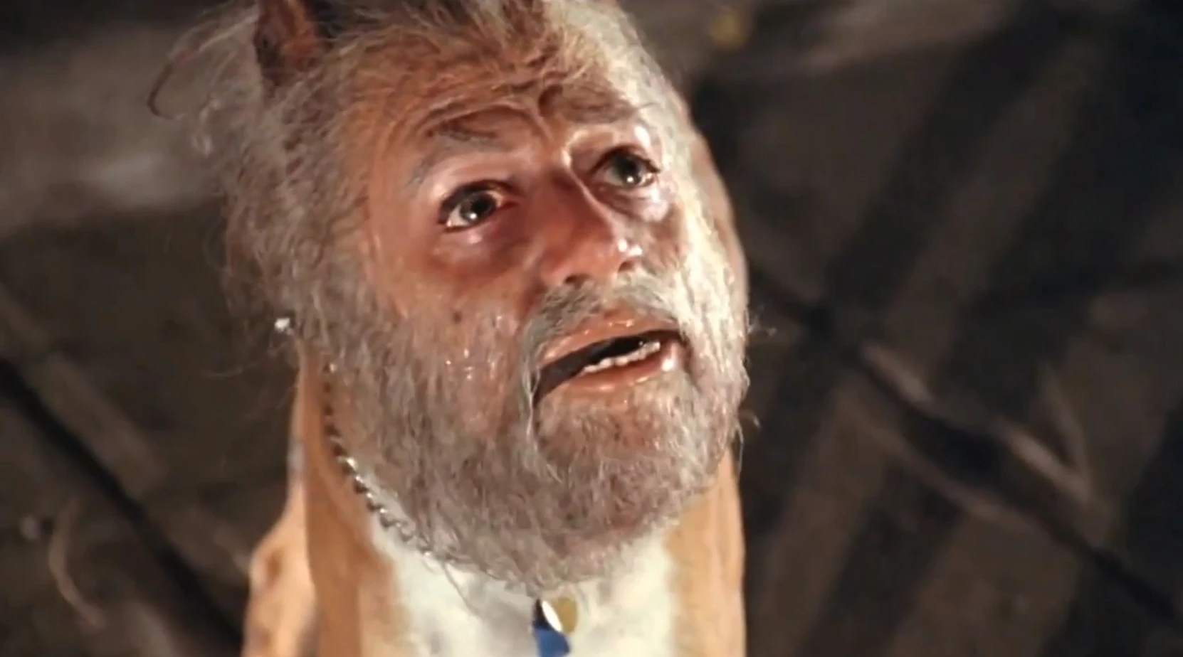 Phim Cuộc Xâm Lăng Của Người Nhân Bản - Invasion of the Body Snatchers (1978)