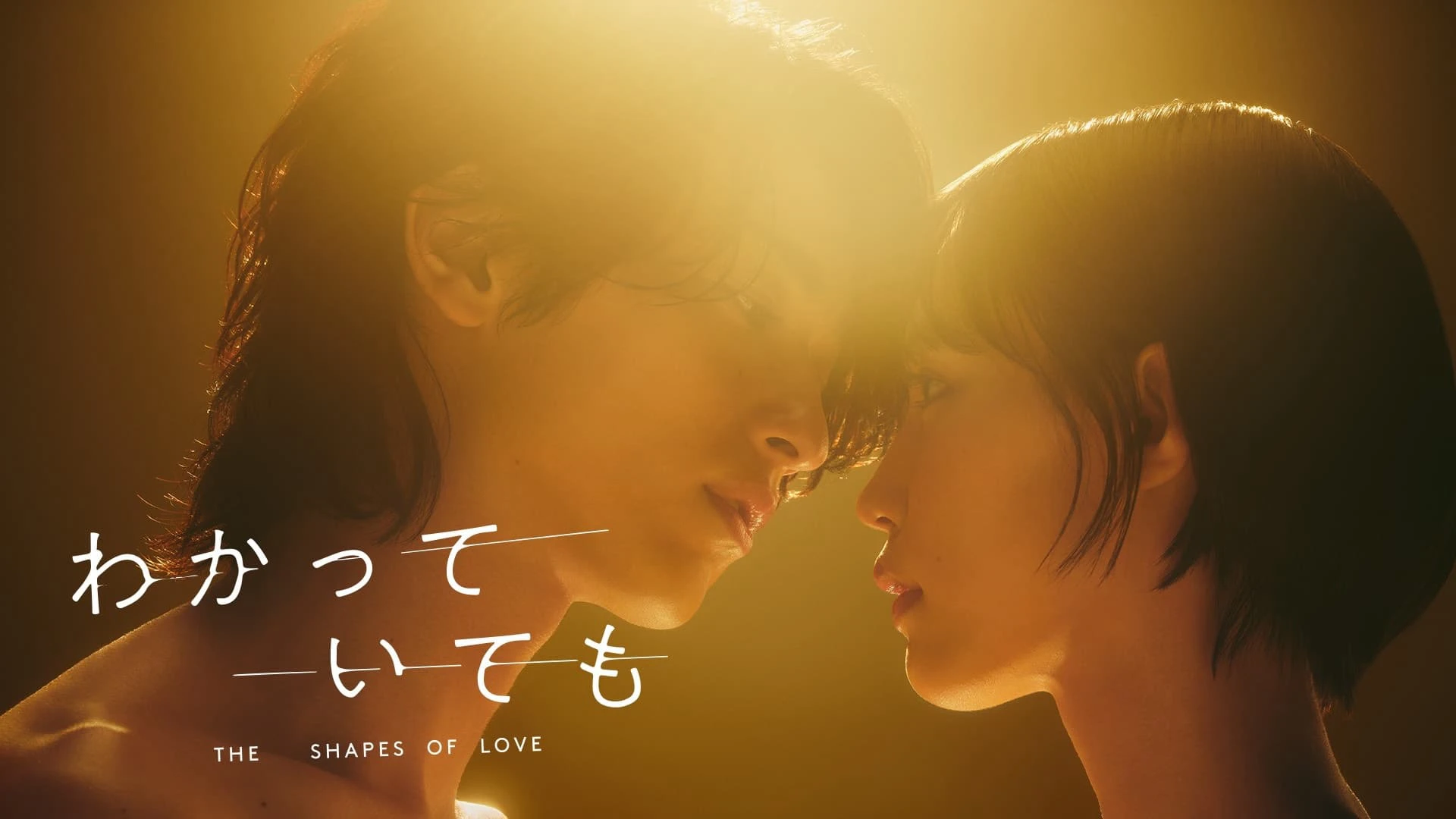Phim DẪU BIẾT DÁNG HÌNH TÌNH YÊU - The Shapes of Love (2024)