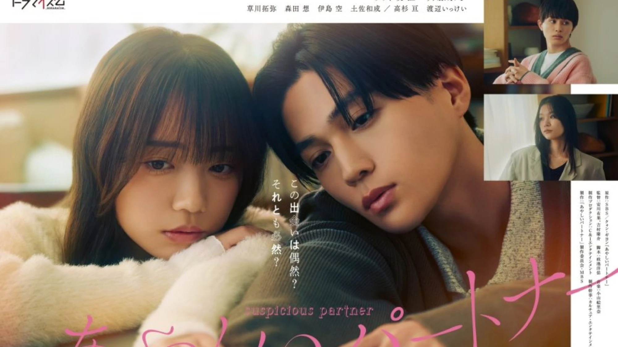 Phim Đối Tác Đáng Ngờ (Bản Nhật) - Ayashii Partner (2025)