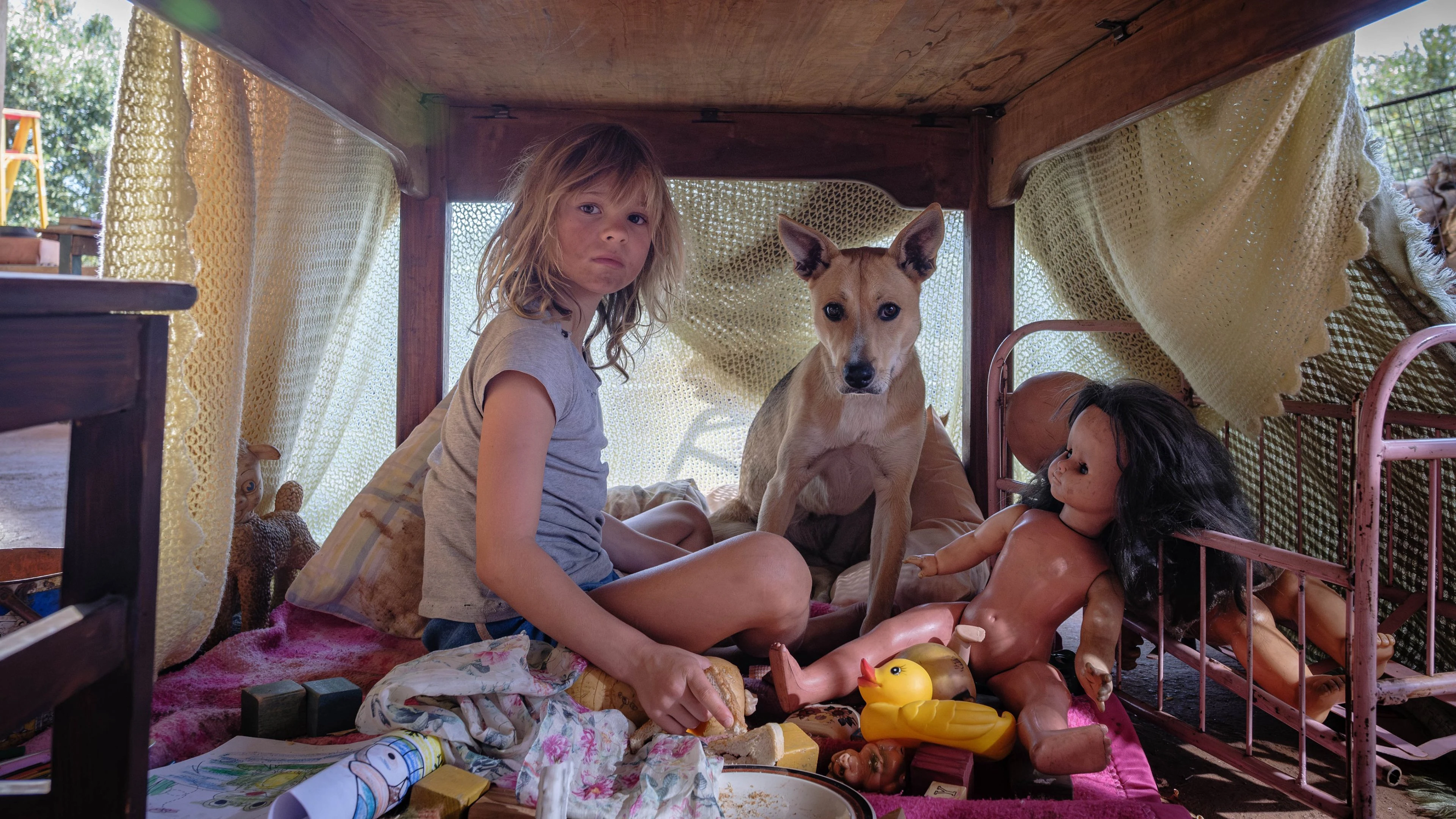 Phim Đứa Trẻ của Chiến Tranh - Don't Let's Go to the Dogs Tonight (2025)