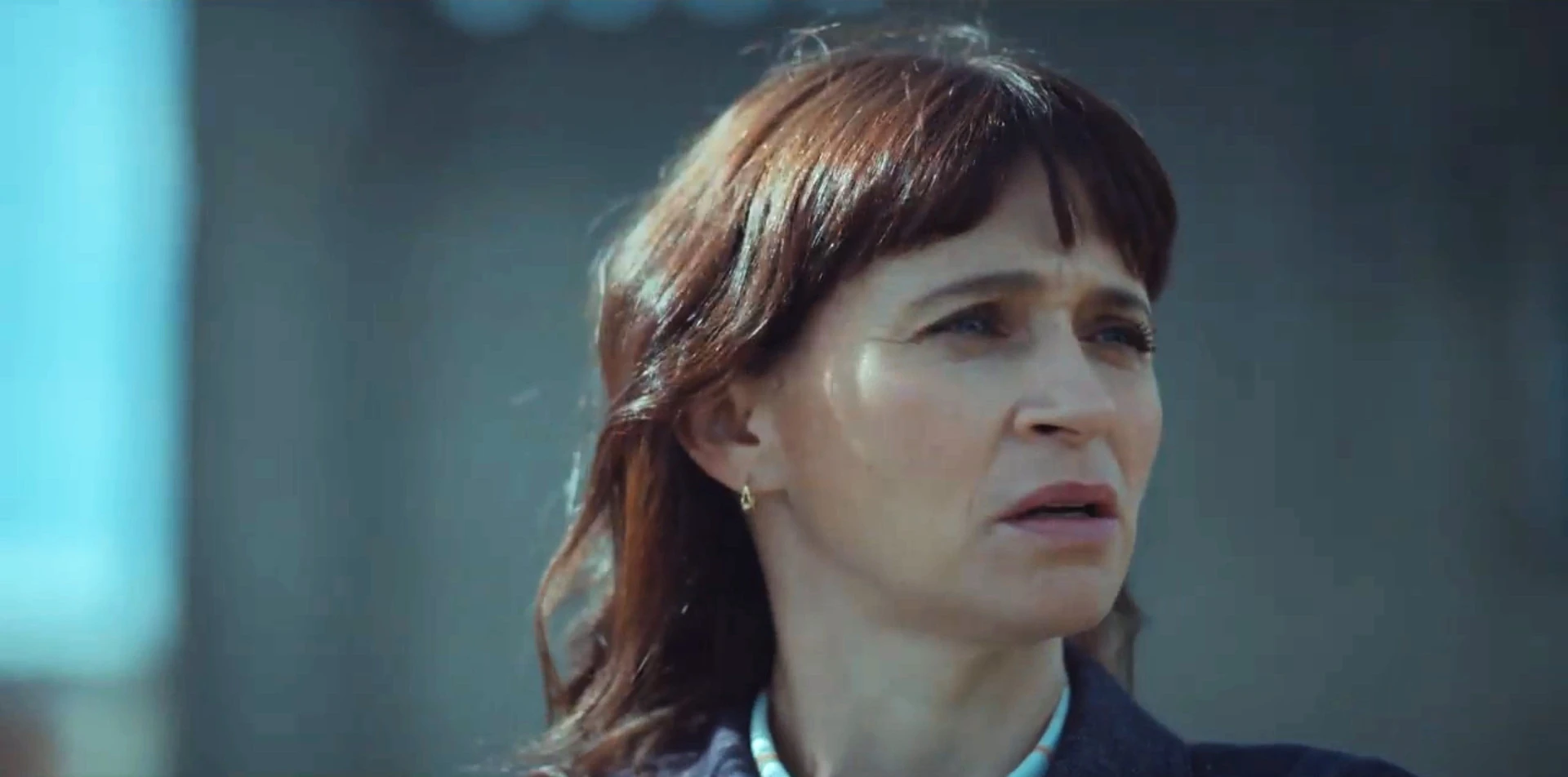 Phim Tẩy Trắng: Đi Tìm Cô Bạn Gái - Clean Sweep 3: Find Her (2023)