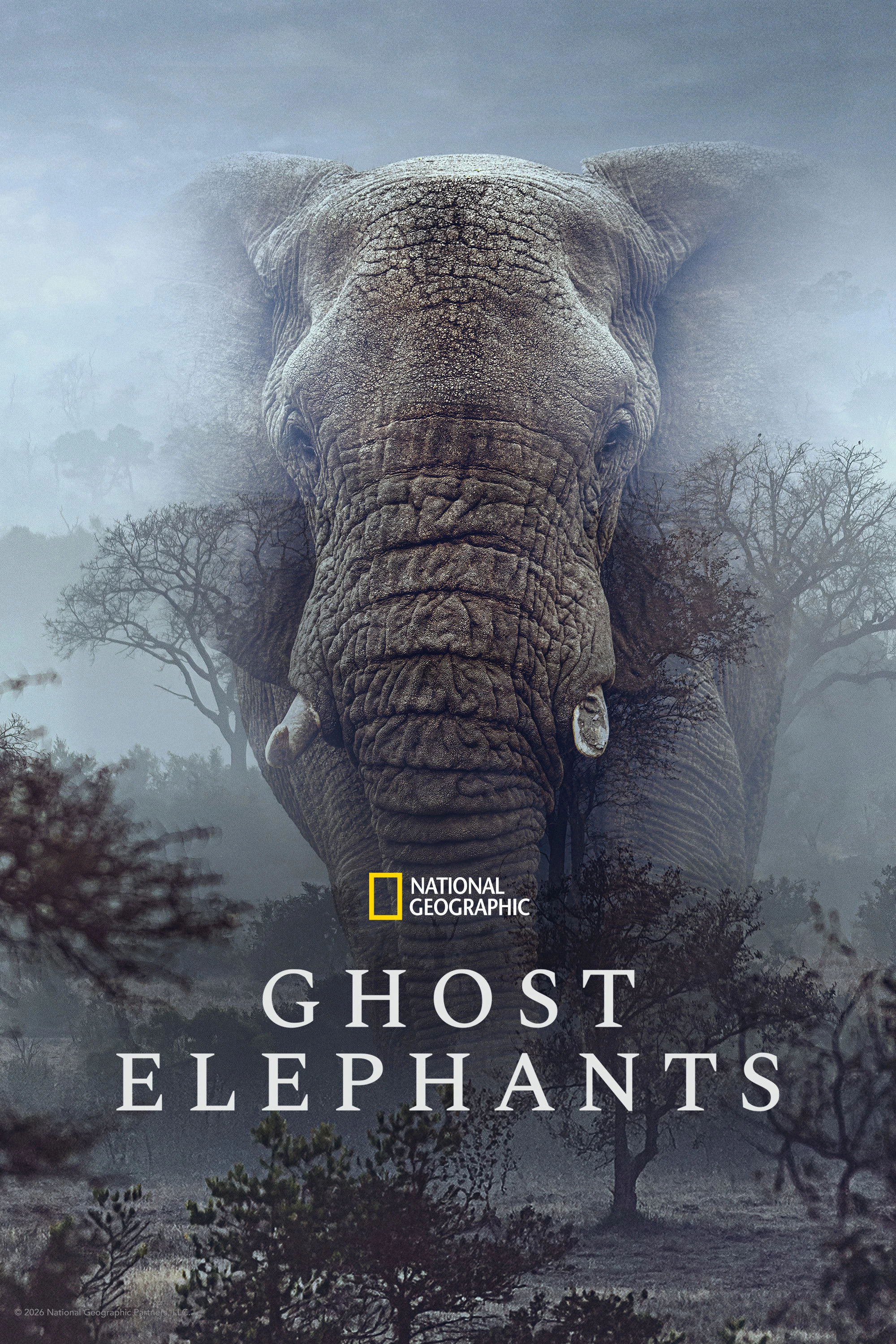 Phim Ghost Elephants - Ghost Elephants (2026)