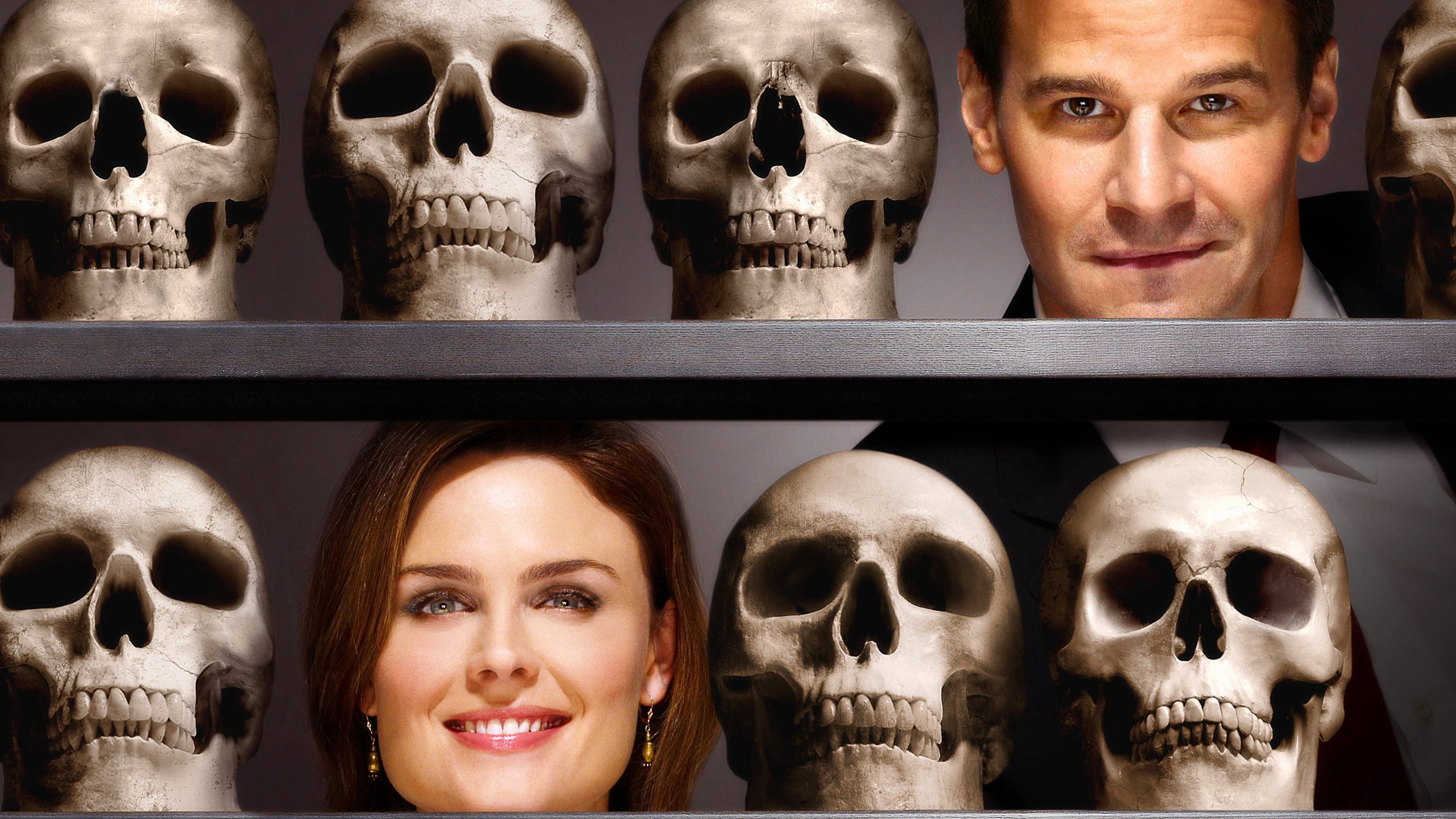 Phim Hài Cốt (Phần 8) - Bones (Season 8) (2012)