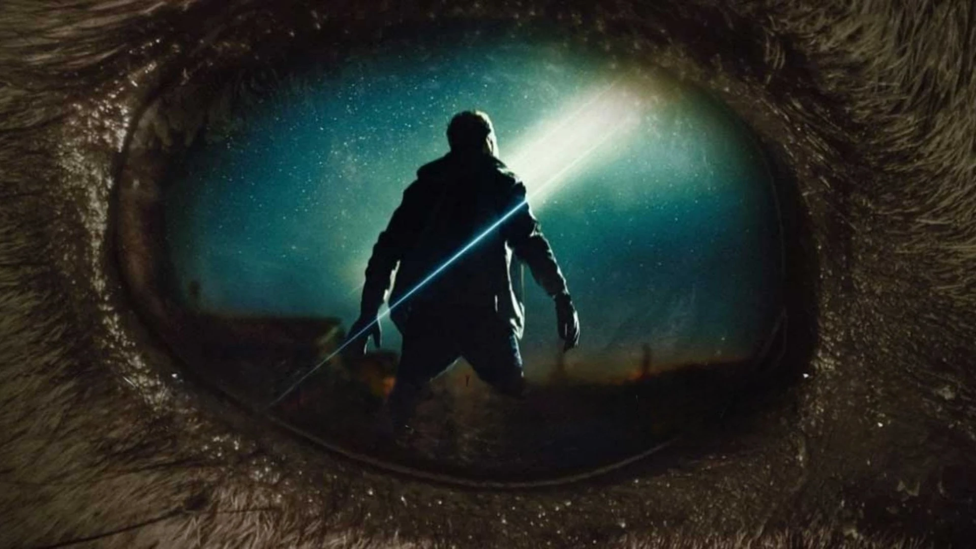 Kẻ Kế Thừa (Hậu Duệ)