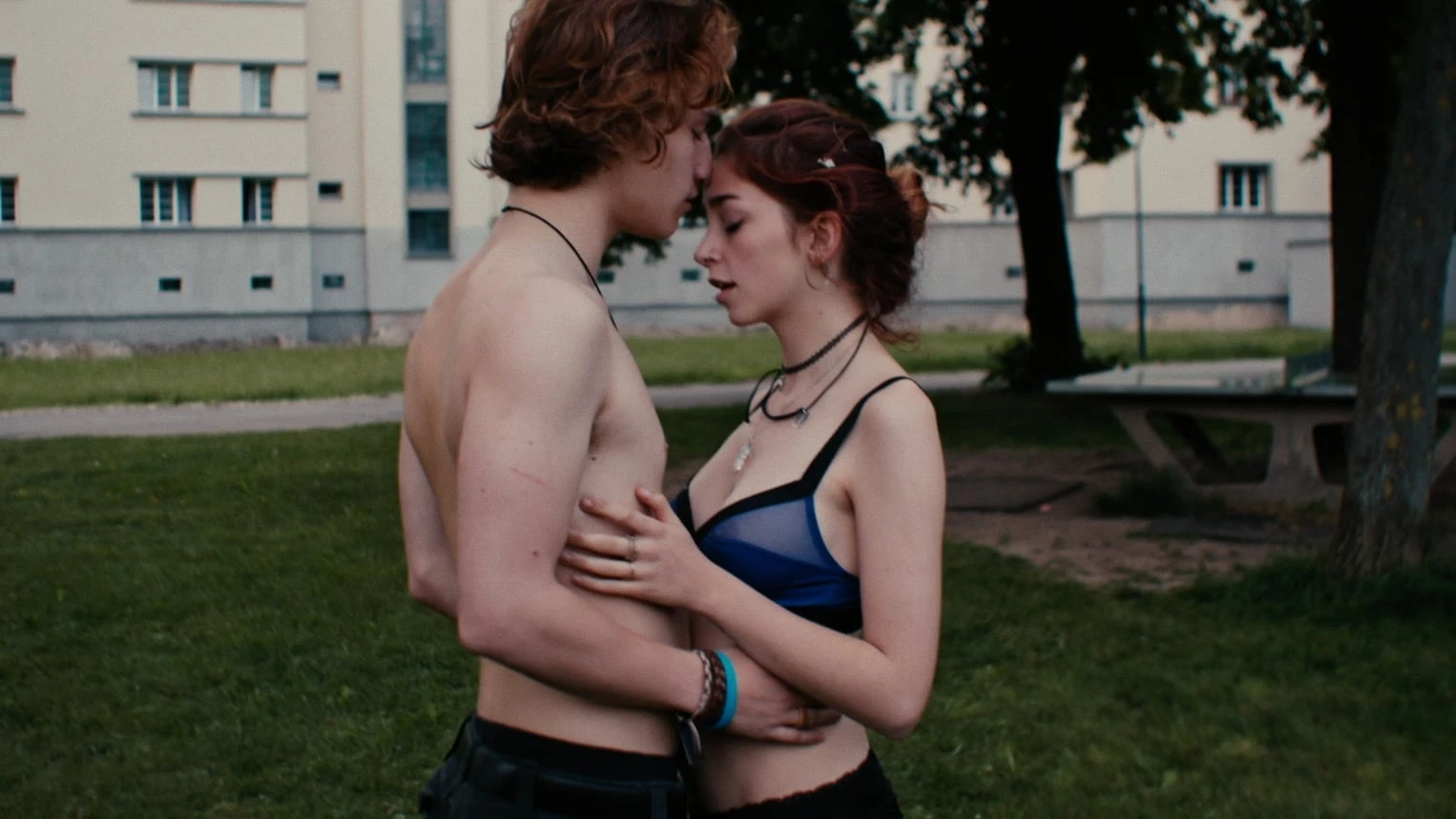 Phim Lát Cắt Tình Yêu - Lovecut (2020)