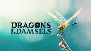 Phim Loài Chuồn Chuồn - Dragons and Damsels (2019)