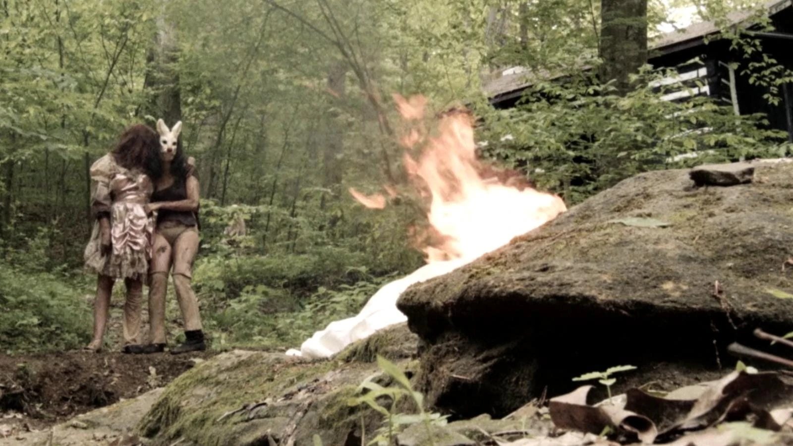 Phim Mặt Gỗ Hoang Dã - Plank Face (2016)