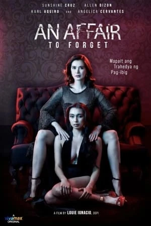 Phim Ngoại Tình (2022) - An Affair to Forget (2022)
