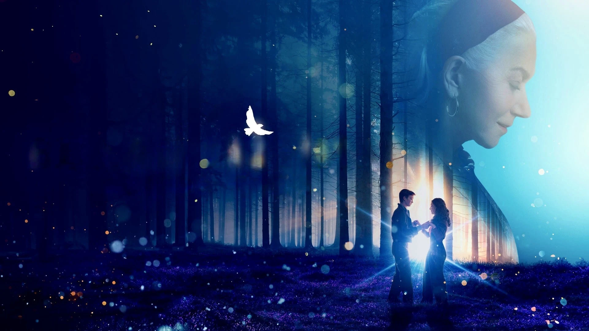 Phim Phép Màu Giữa Đêm Đông - White Bird (2023)