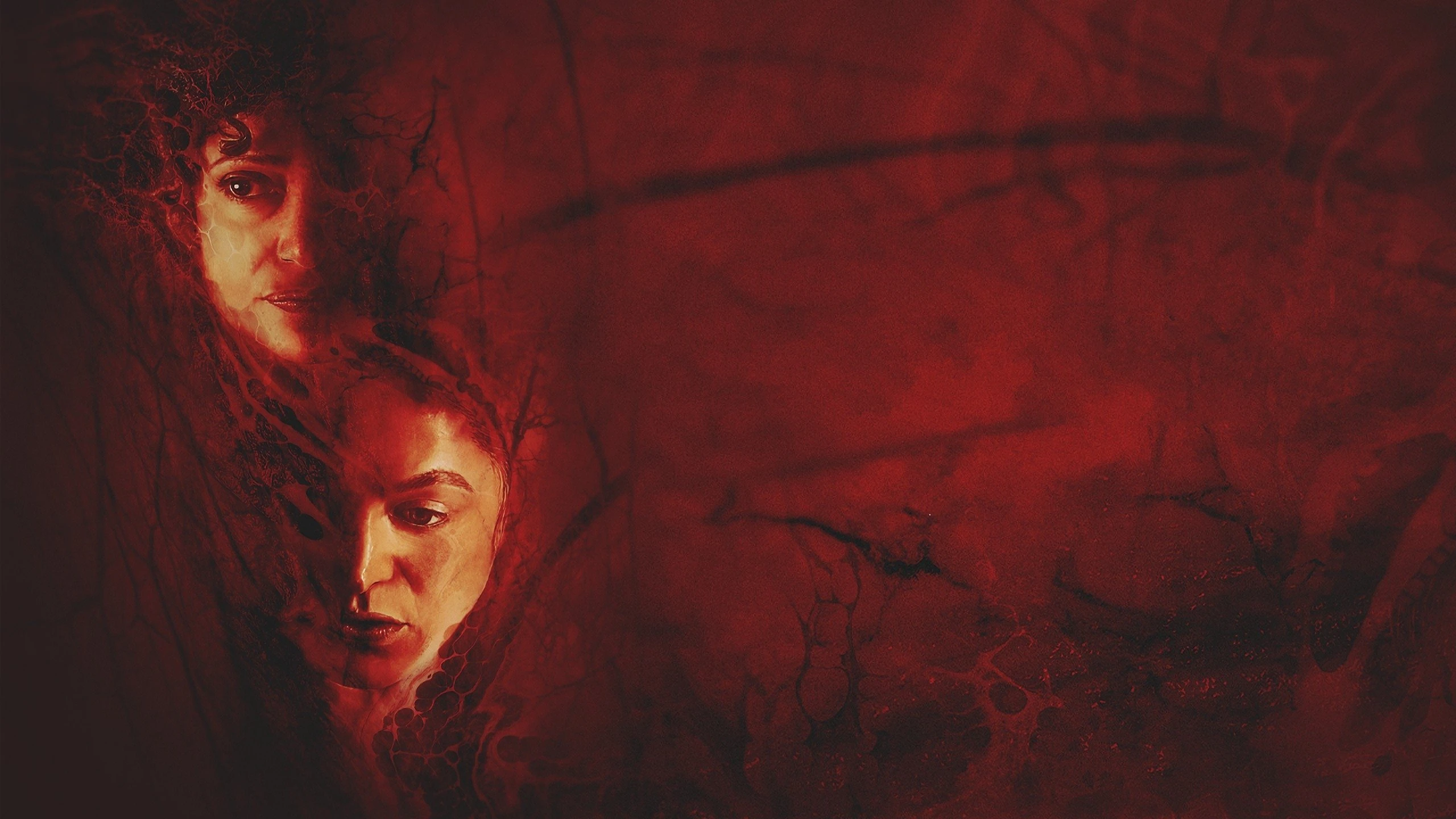 Phim Sinh/Tái Sinh - Birth/Rebirth (2023)