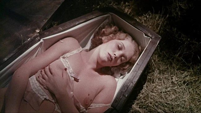 Phim Sức Hút Của Quỷ Dracula - Dracula Sucks (1979)