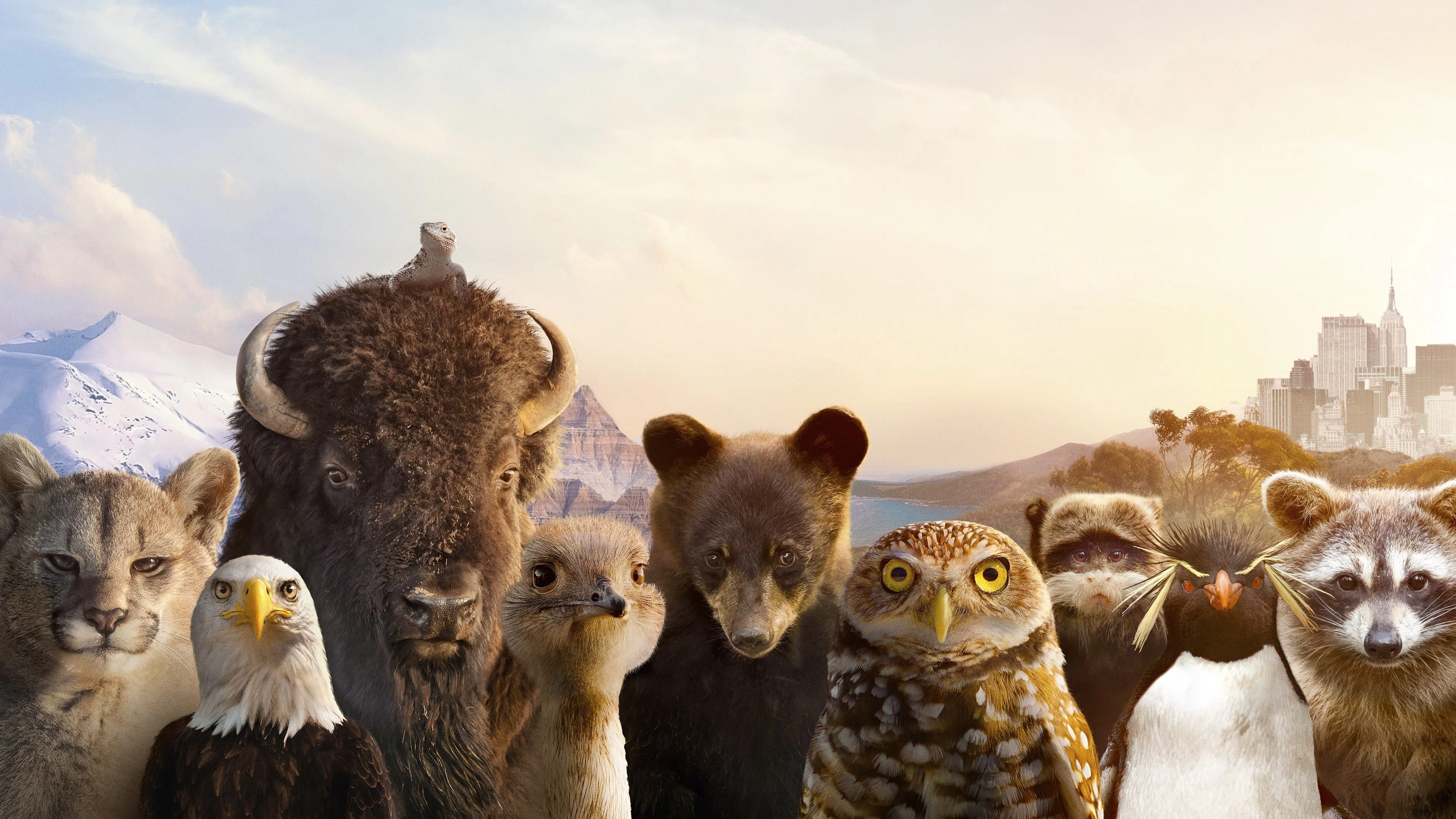 Phim The Americas - The Americas (2025)