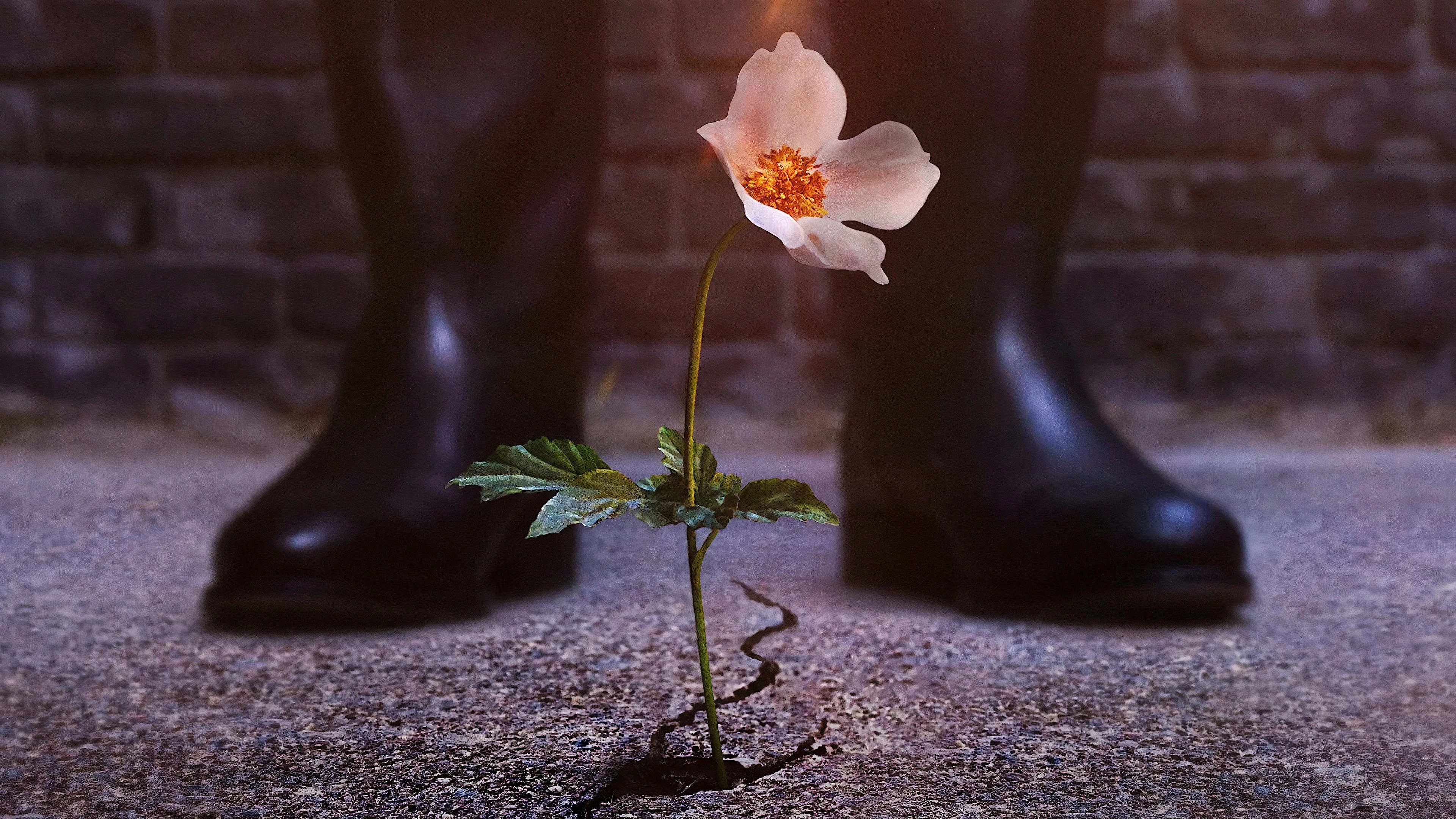 Phim Thế Giới Của Phát Xít (Phần 3) - The Man in the High Castle (Season 3) (2018)