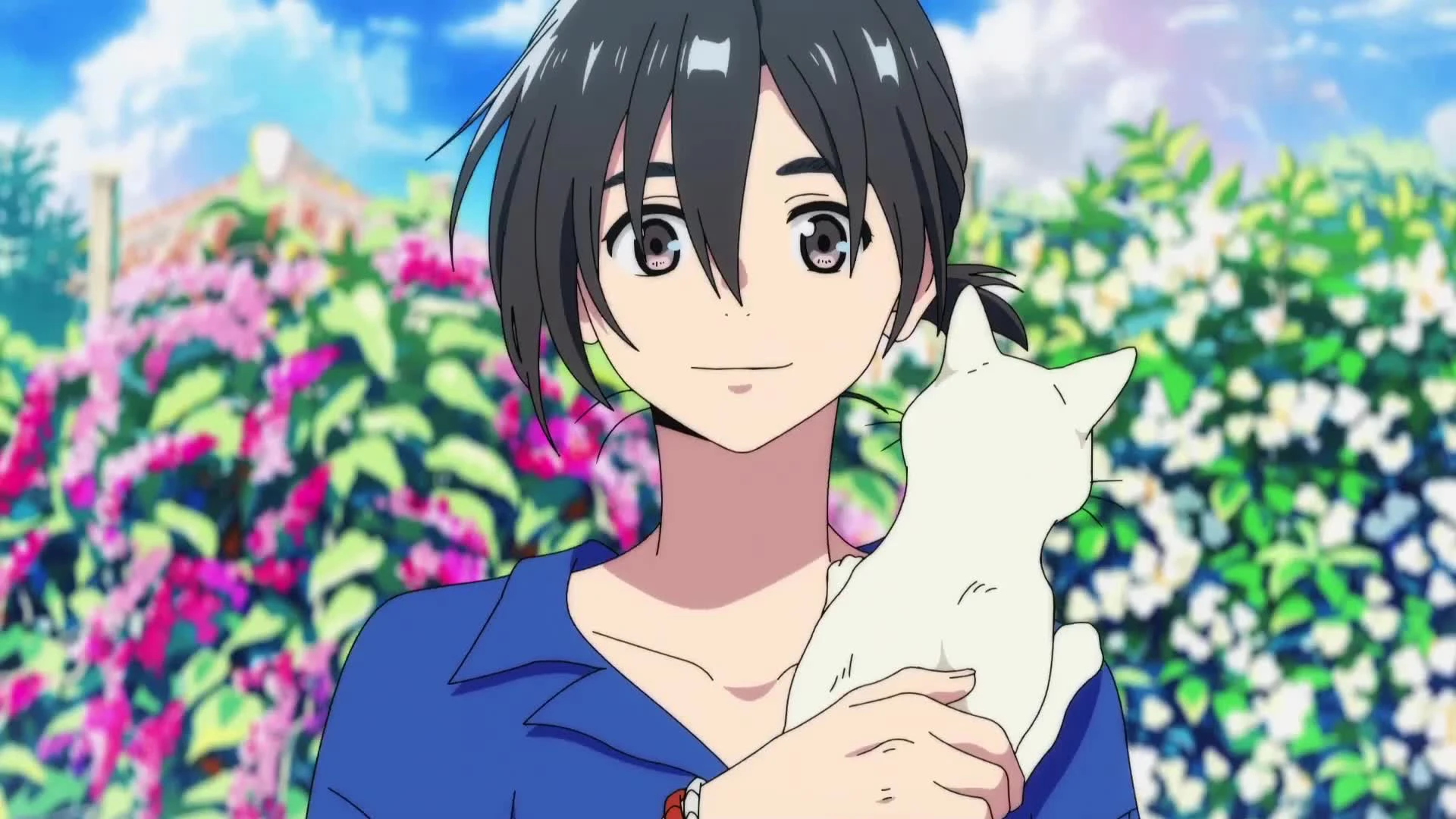 Phim The Stranger by the Beach - The Stranger by the Beach (2020)