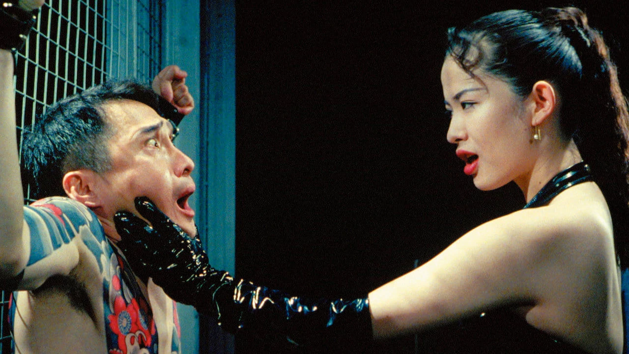 Phim Tokyo Khi Đêm Về - A New Love in Tokyo (1994)