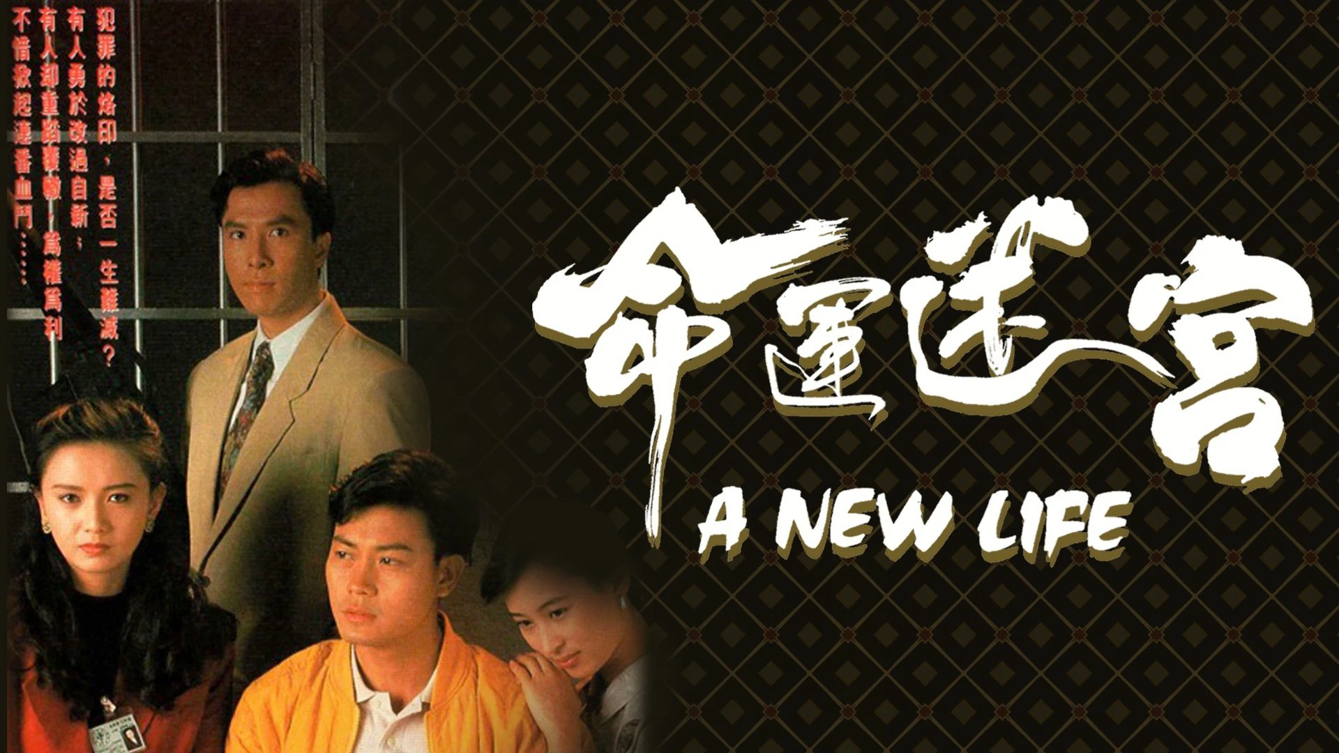 Phim Vận Mệnh Mê Cung - A New Life (1991)