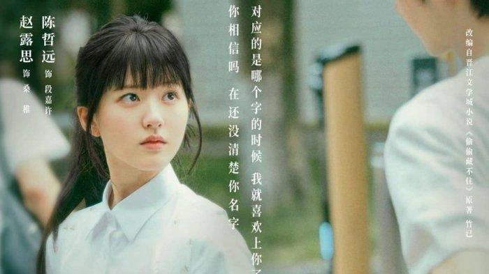 Phim Vụng Trộm Không Thể Giấu - Hidden Love (2023)